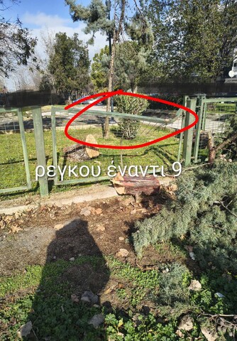 Φωτογραφία 2